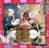 Hello - Swan Lake 