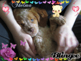thelma