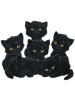 Black Kittens