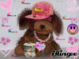 Coaco my Webkinz brown dog