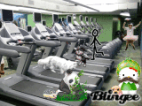 crack-up at the gym