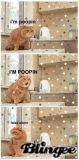 poopin' Kitty!