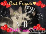 NB