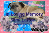 GoodBye Mimi LaRue