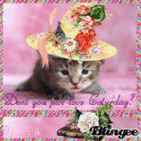 The B Box Saturday Icon