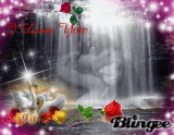 falling in love