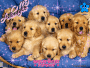 cuccioli the best 4ever in the word and in the space!!!