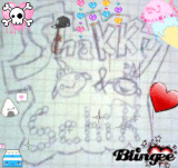 Shakky & Schik