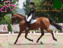 I love horseback riding!