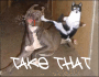 take that take that