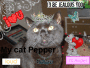 Cat fans!!!!!