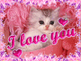 I love you