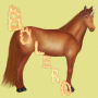 Bolero