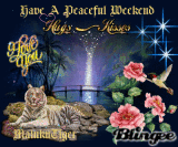 HAVE A PEACEFUL WEEKEND, MALUKUTIGER