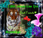 I WILL ALWAYS LOVE YOU, MALUKUTIGER I WILL ALWAYS LOVE YOU, MALUKUTIGER