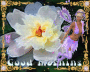Fairy