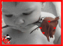 baby red