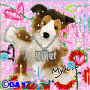 collie