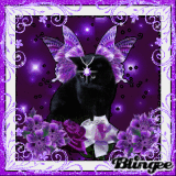 MeoW