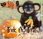 trick or treat
