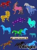 i love horsies