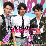 i love jonas brothers