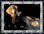 goddess of the stars goddess of the stars