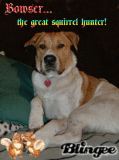Squirrel Hunter