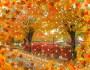 Autumn leaves