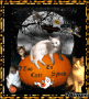 2 Cute 2 Spook