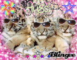 Three wise cubs