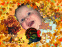 Happy Thanksgiving