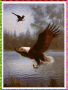 Fishing eagle