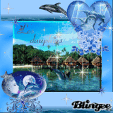 Pour valy62940 , nina21200 et les autres qui aiment les dauphins