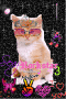 The big bad Kitty