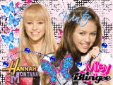 hm-miley