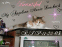 My Angel Watching over us My Angel Watching over us