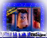 A Kitty Christmas