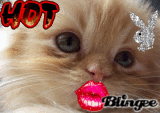 hot:))