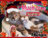Christmas Kitties by SD