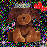I LOVE BROWN DOGS!!!!