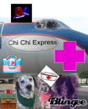 Chi Chi express