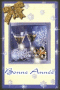 Bonne année 