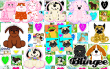 Colorful Webkinz