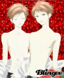 THE YAOI HOST BROTHER