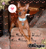 Prissy and Brutus's Anniversary