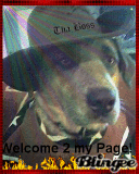 FatTdoGg says heWROo 2 his DS furiends! an Welcome to my page to my life<3