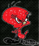 G star tweety club