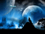 stars
