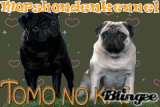 *Mopshondenkennel: Tomo no kai*